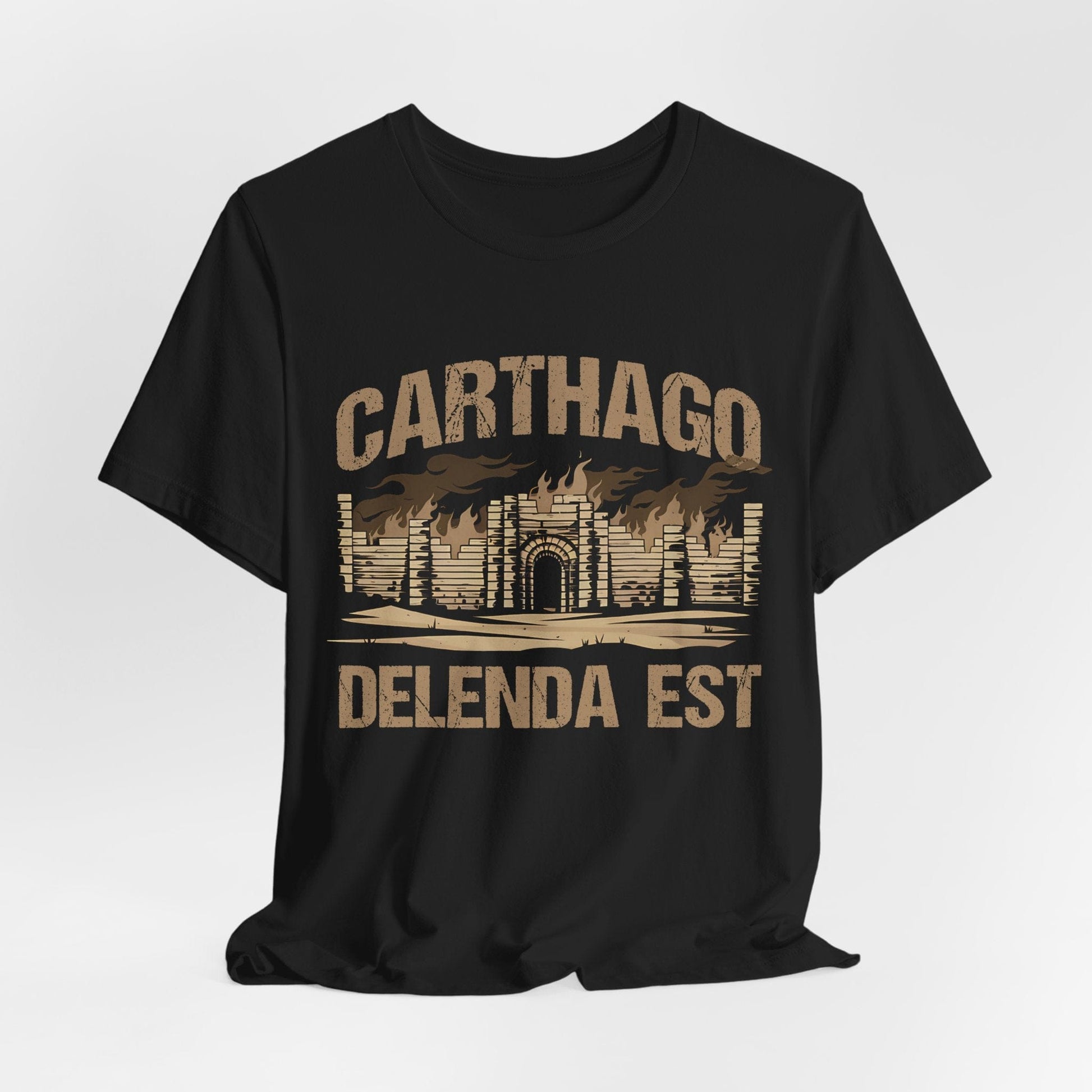 Carthago Delenda Est Shirt - Carthage Must Be Destroyed T-Shirt