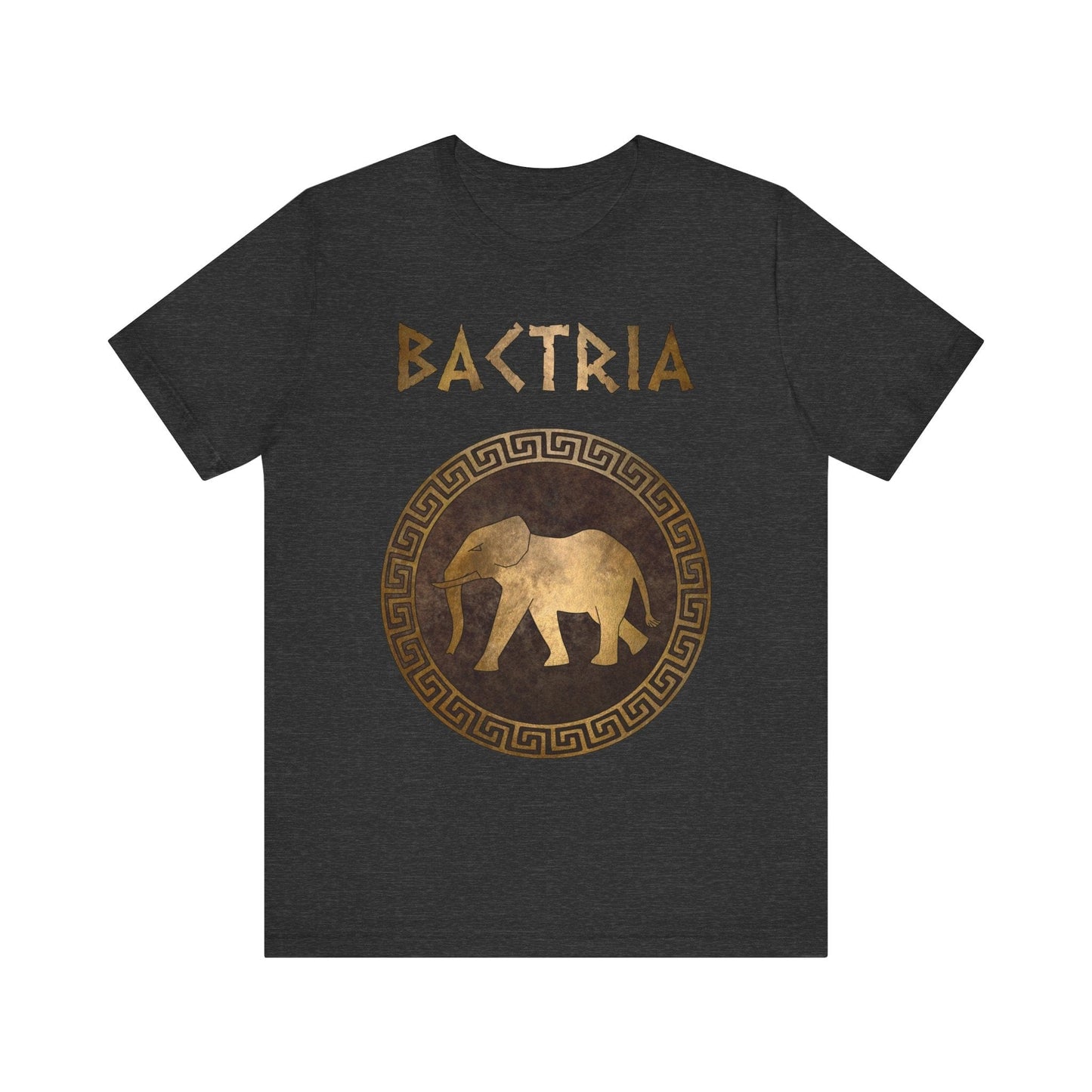 Dark Grey Heather / S Bactria Indo-Greek Kingdom T-Shirt