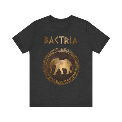 Dark Grey Heather / S Bactria Indo-Greek Kingdom T-Shirt
