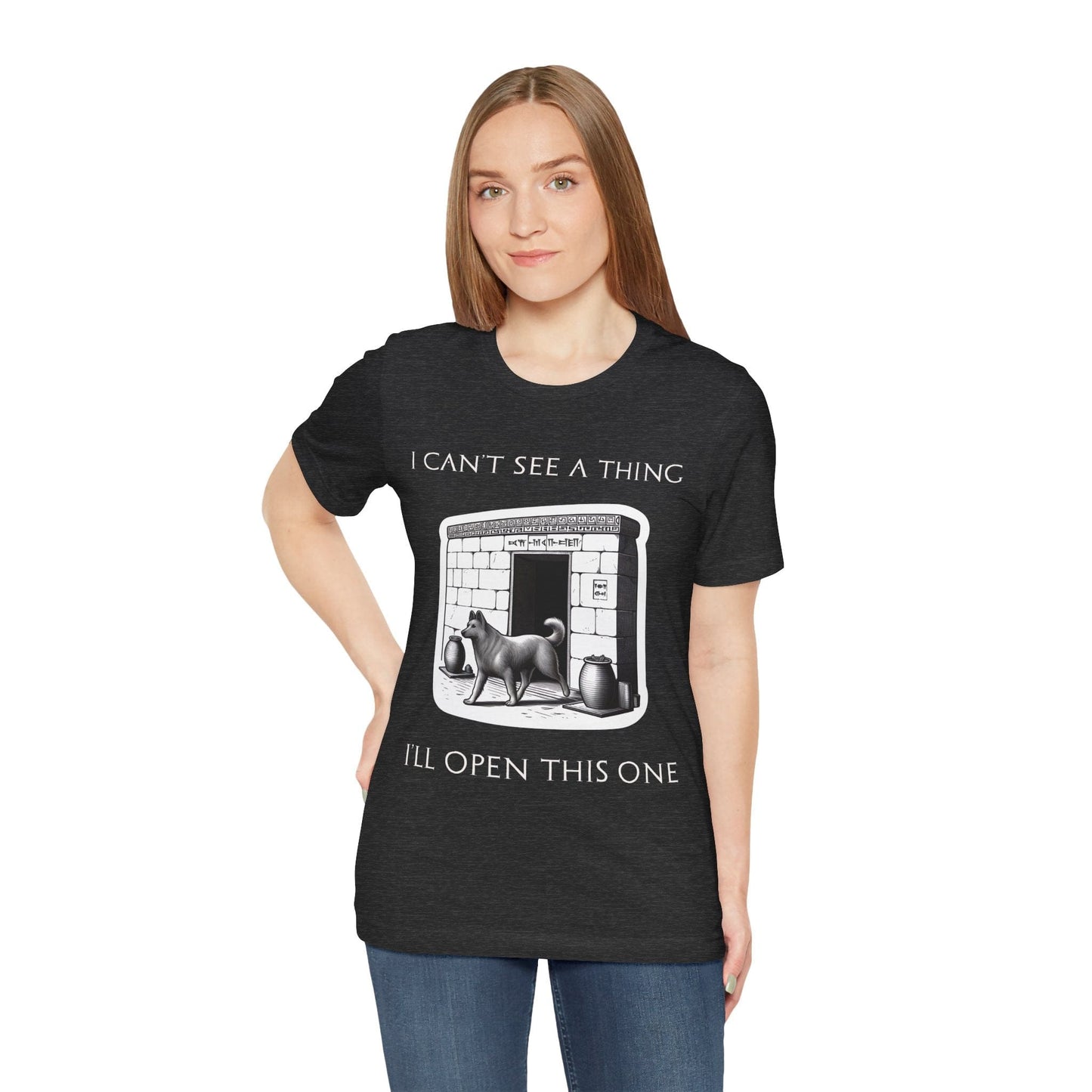 Dark Grey Heather / S History's Oldest Bar Joke - Sumerian Dog Meme T-Shirt