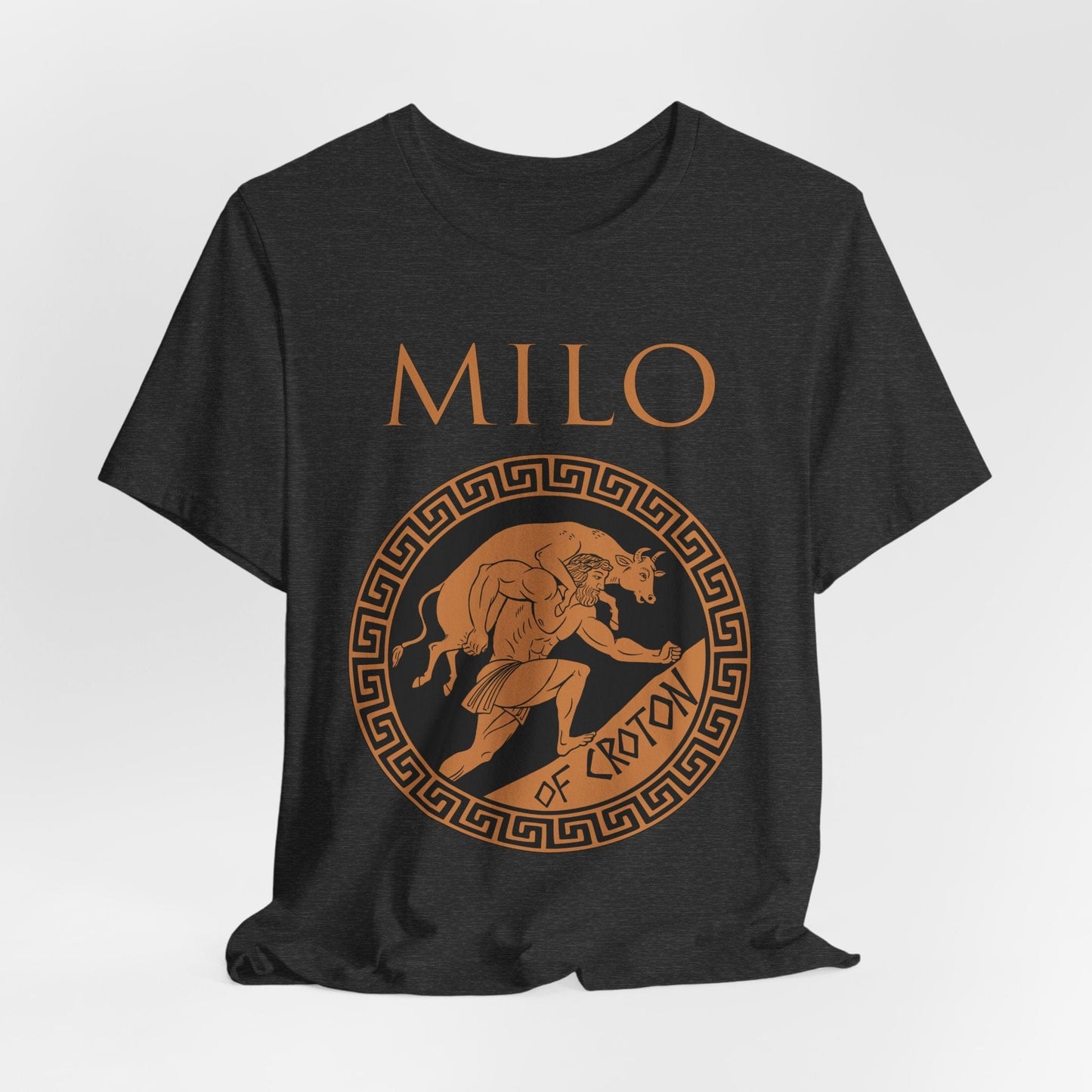 Dark Grey Heather / S Milo of Croton T-Shirt