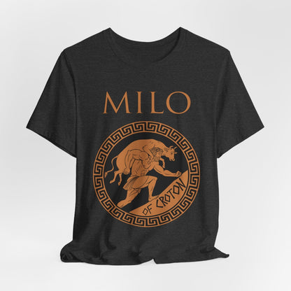 Dark Grey Heather / S Milo of Croton T-Shirt