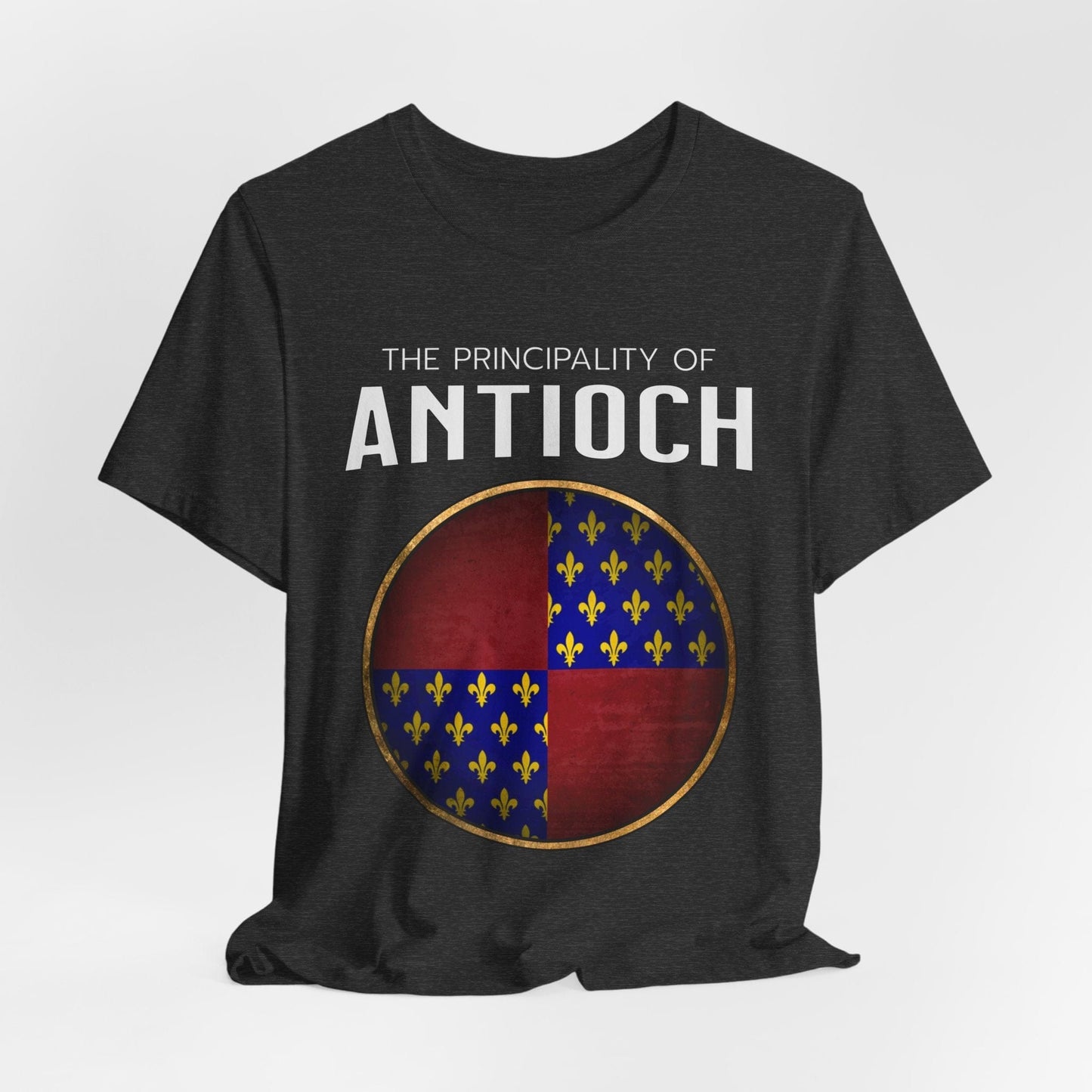 Dark Grey Heather / S Principality of Antioch T-Shirt