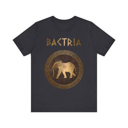 Dark Grey / S Bactria Indo-Greek Kingdom T-Shirt