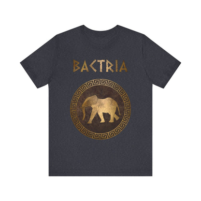 Heather Navy / S Bactria Indo-Greek Kingdom T-Shirt