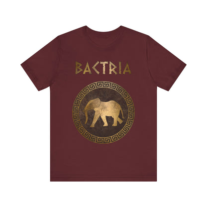 Maroon / S Bactria Indo-Greek Kingdom T-Shirt