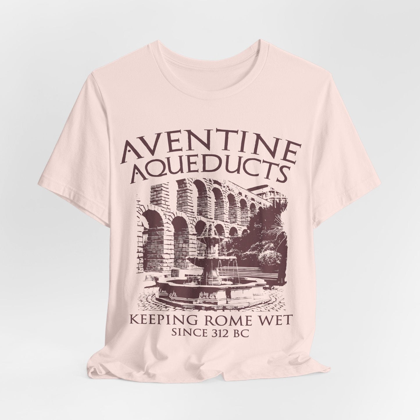 Soft Pink / S Aventine Aqueducts - Funny Ancient Roman History T-Shirt