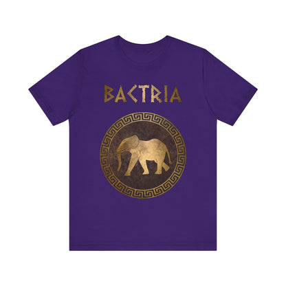 Team Purple / S Bactria Indo-Greek Kingdom T-Shirt