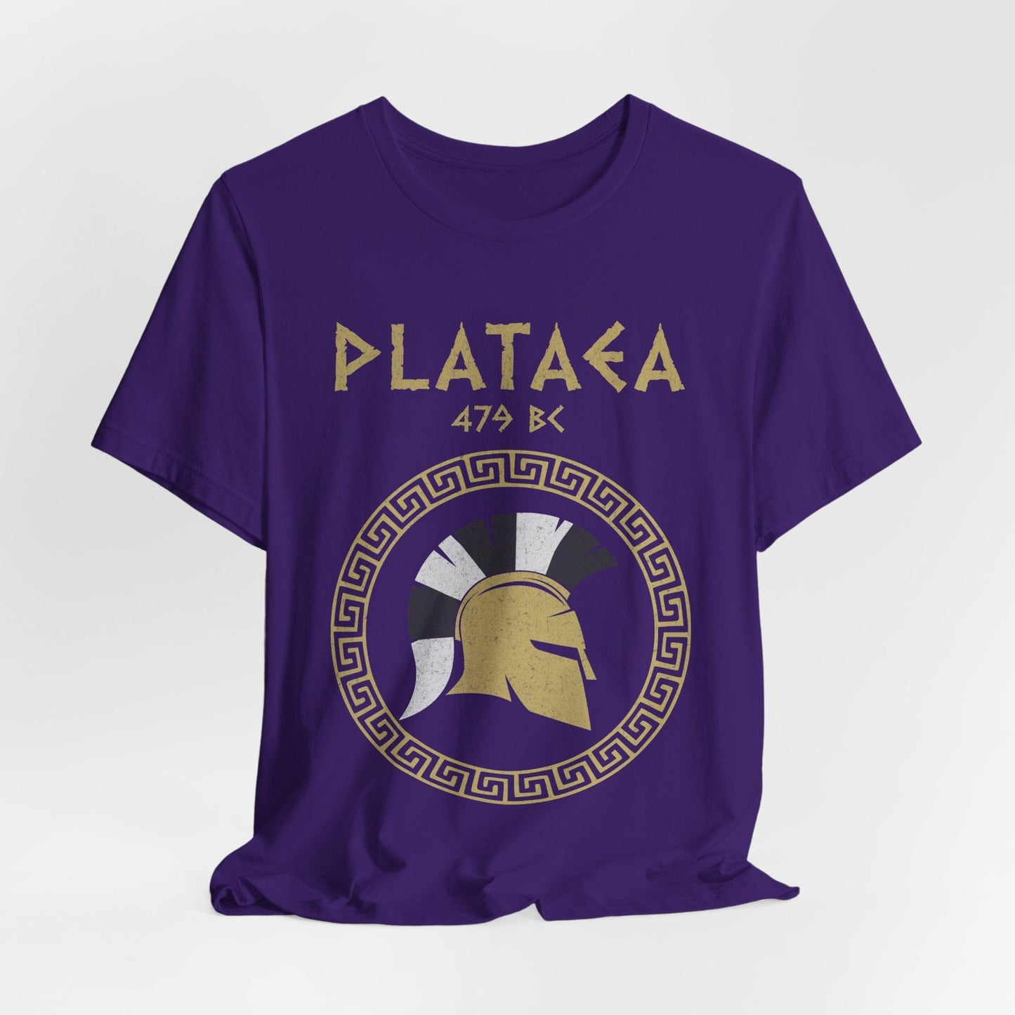 Team Purple / S Battle of Plataea - Greek Hoplite T-Shirt