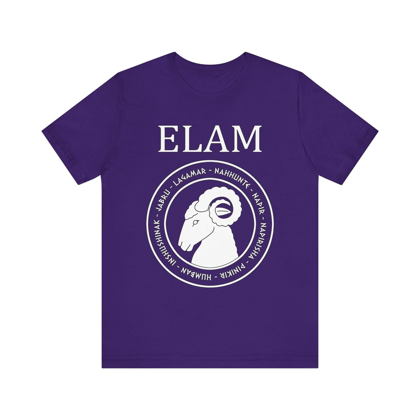 Team Purple / S Elam - Ancient Elamite Gods T-Shirt