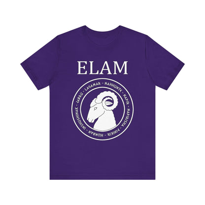 Team Purple / S Elam - Ancient Elamite Gods T-Shirt