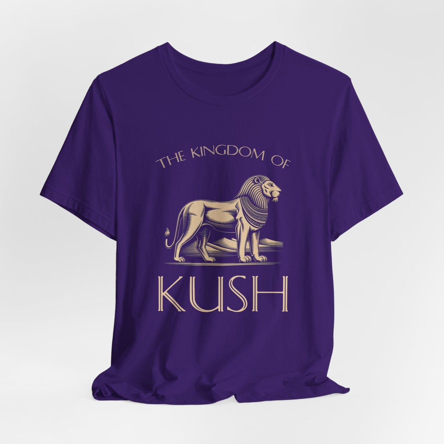 Team Purple / S Kingdom of Kush - Ancient Nubia T-Shirt