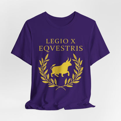 Team Purple / S Legio X Equestris - Roman Legion T-Shirt