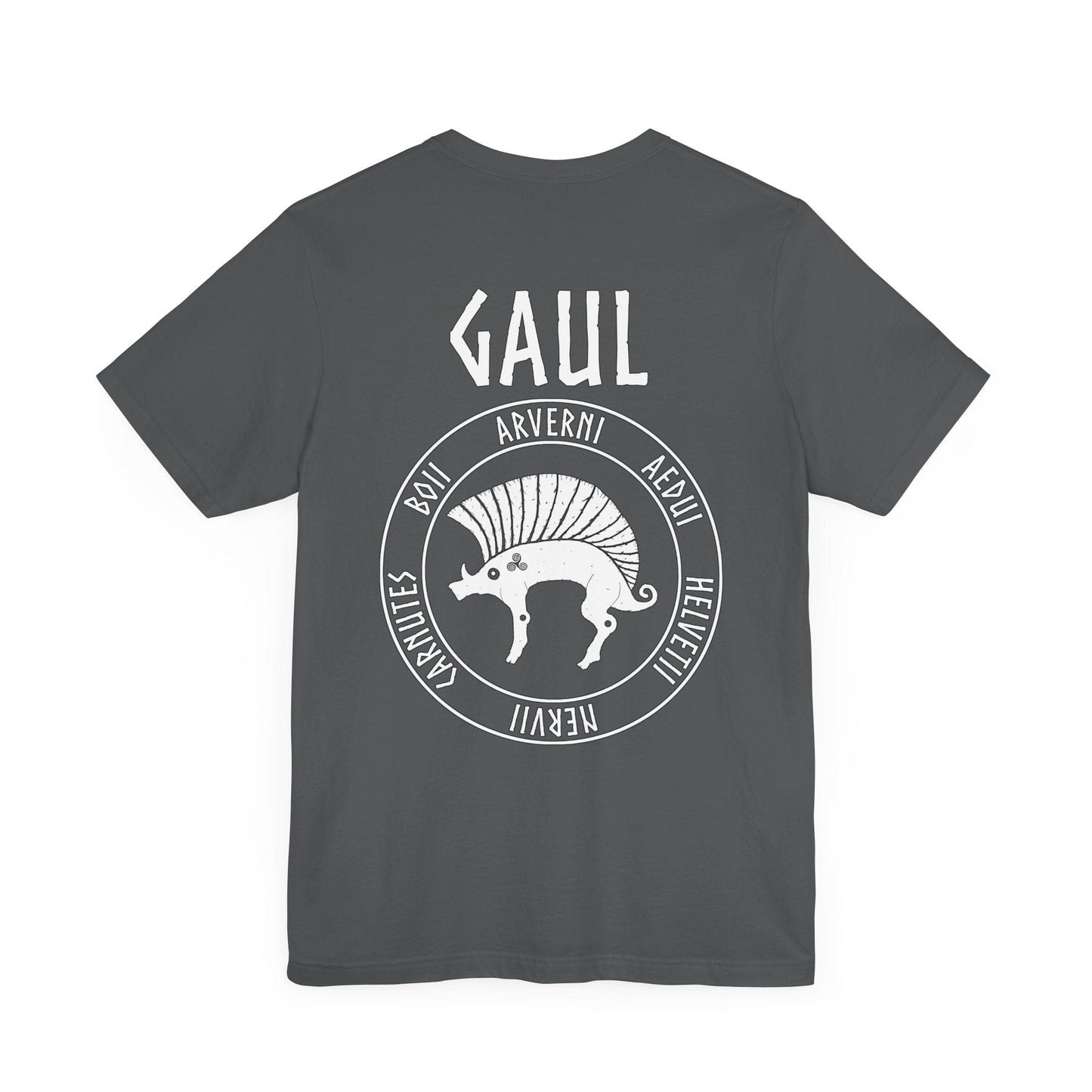 Tribes of Gaul - Gallic Boar Double Sided T-Shirt