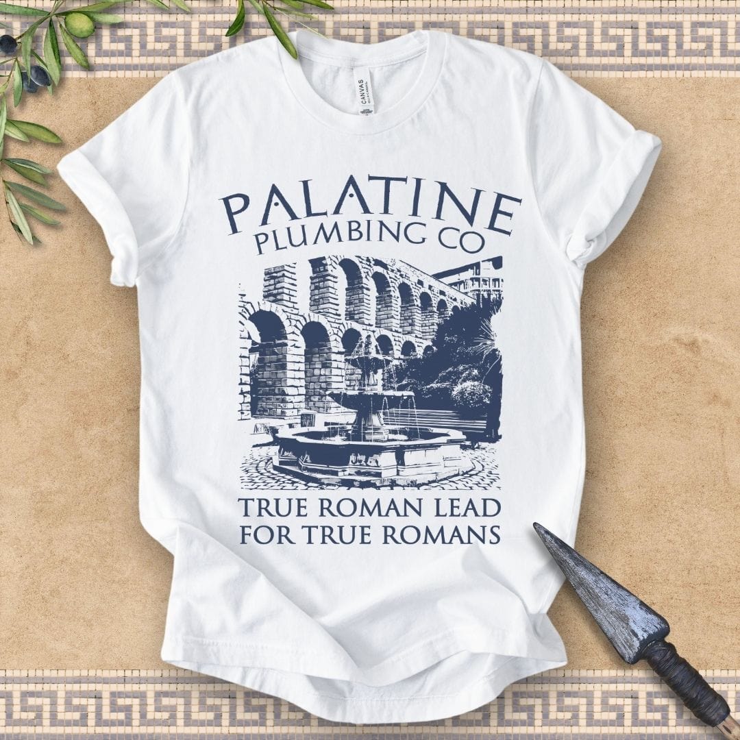 White / 2XL Palatine Plumbing Co - Funny Roman History T-Shirt