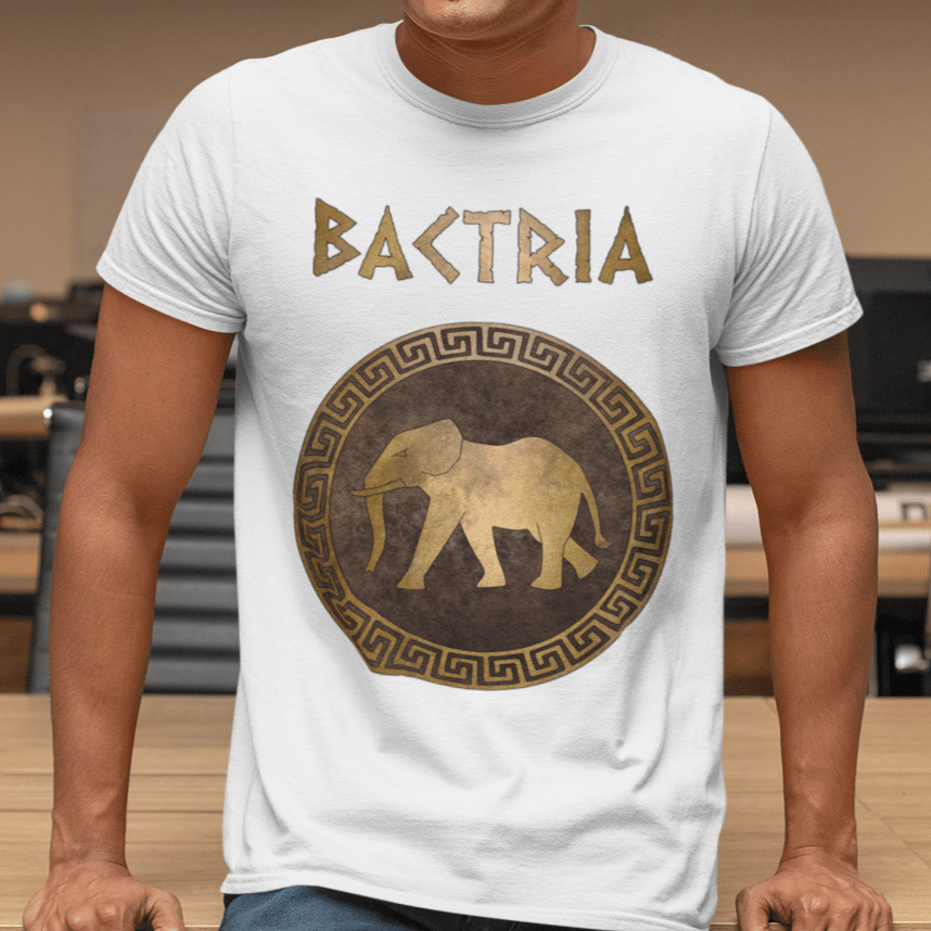 White / S Bactria Indo-Greek Kingdom T-Shirt
